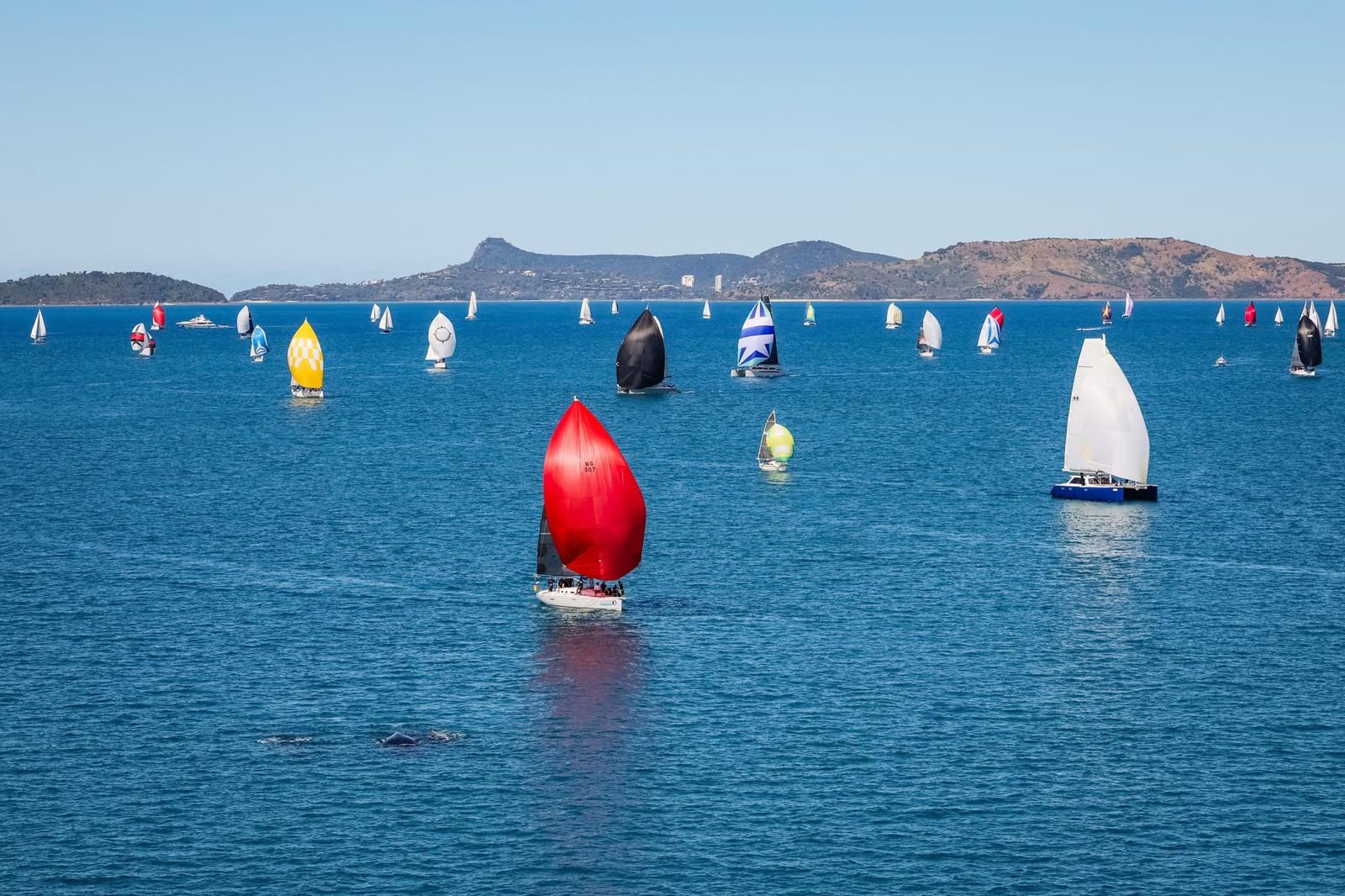 hamilton island 2025 blog